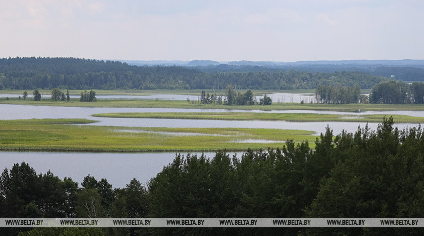 Особо охраняемые природные территории занимают 9,2% площади Беларуси