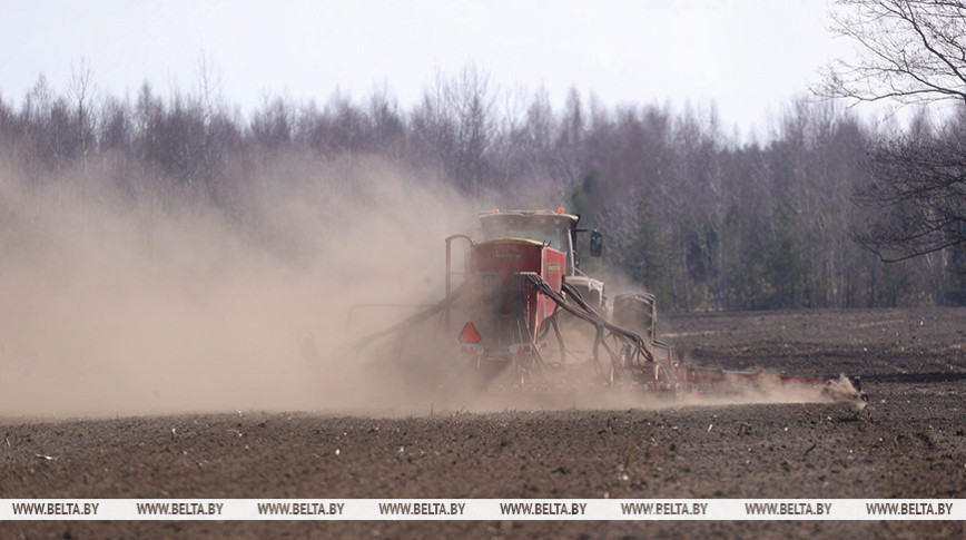 "Все регионы приступили к активному севу". Чем заняты аграрии Беларуси в последнюю декаду марта