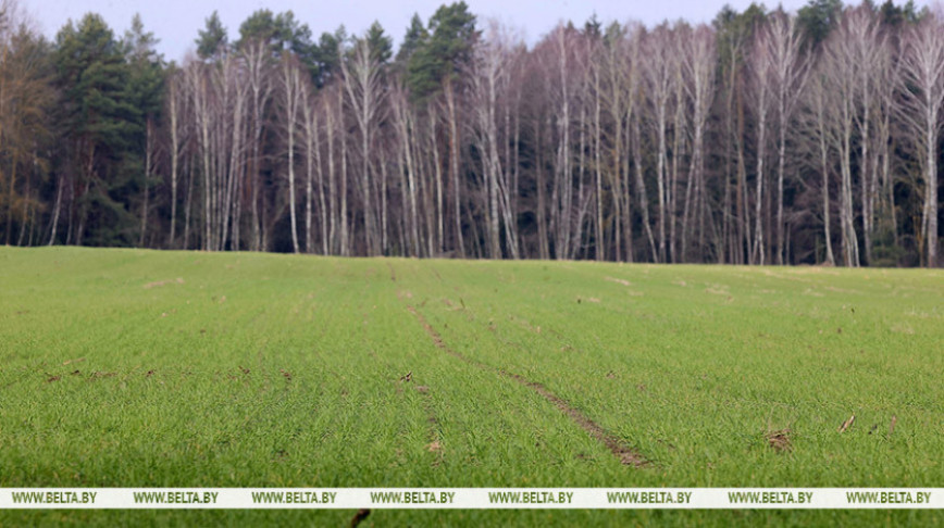 Крупко назвал цену вопроса по масштабному проекту для орошения полей на Полесье. Изучат и опыт Китая