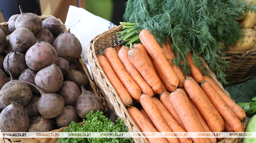 Vegetables harvest in Belarus 97% complete