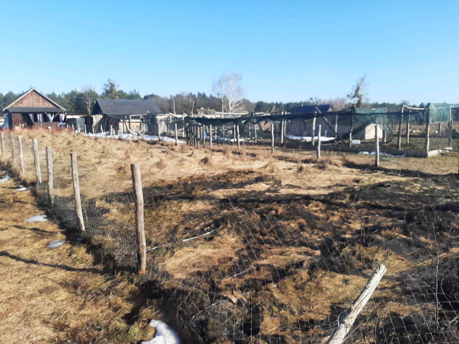 Пожар сухой растительности