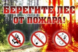 
  В 10 районах Гомельской и Минской областей закрыты леса для посещения (по сост. на 06.06.2019)
     