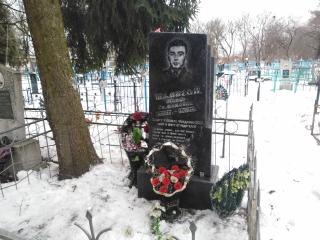 Волонтеры гимназии