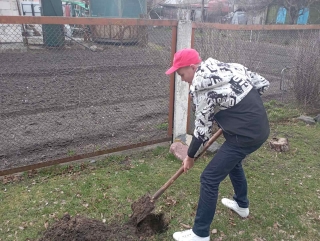 Гимназисты приняли участие в акции "Аллея памяти"