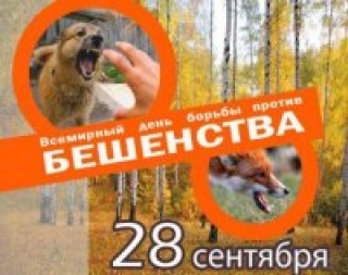 
    28 сентября - Всемирный день борьбы против бешенства     