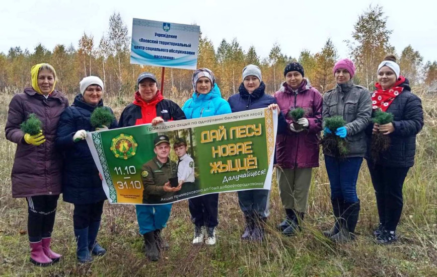 Дай лесу новае жыццё!